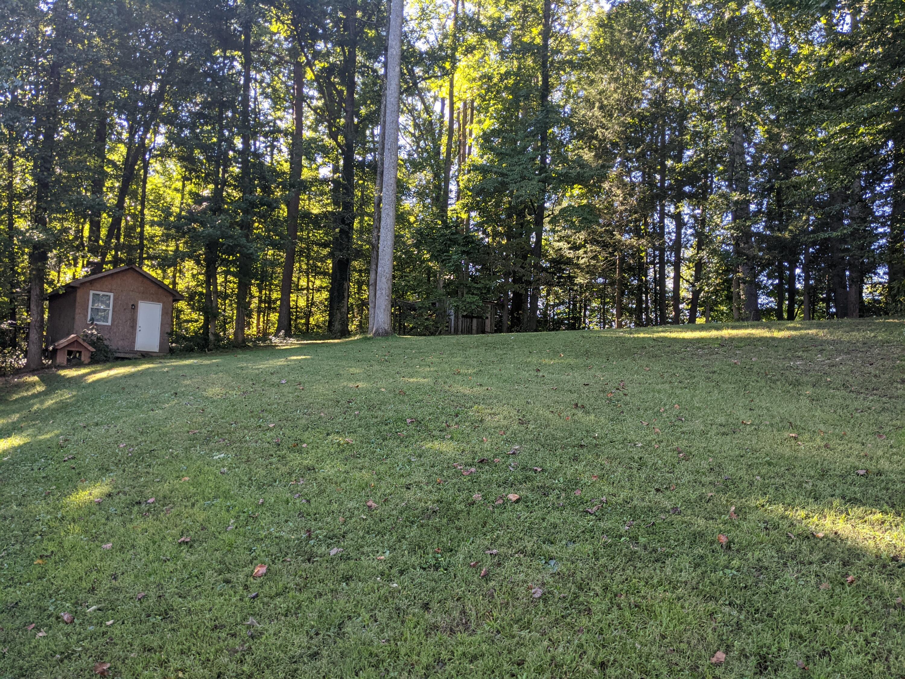 7790 Berry Williams Road Townsend, TN 37882 - Photo 9 of 26 PXL_20210924_203210720