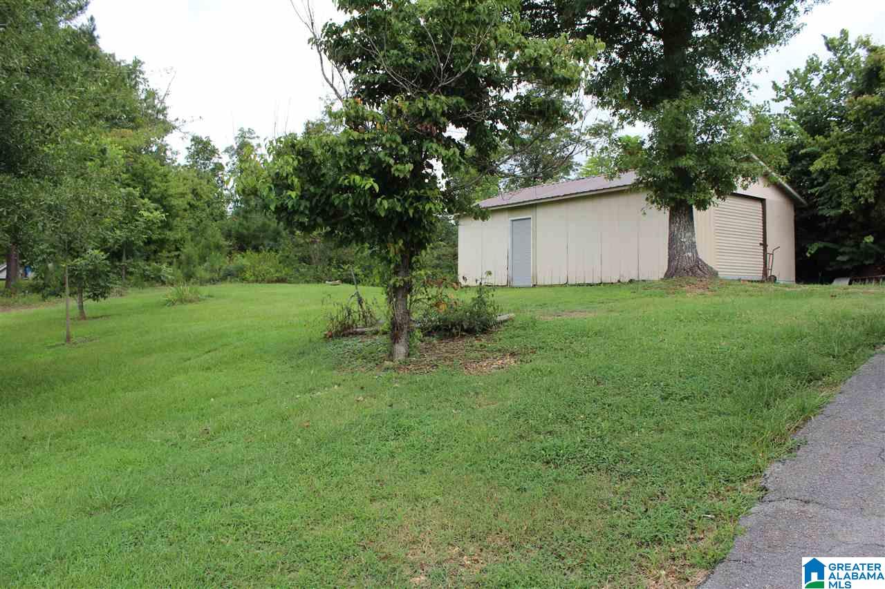 10359 Shoal Creek Road Ashville, AL 35953 - Photo 3 of 18