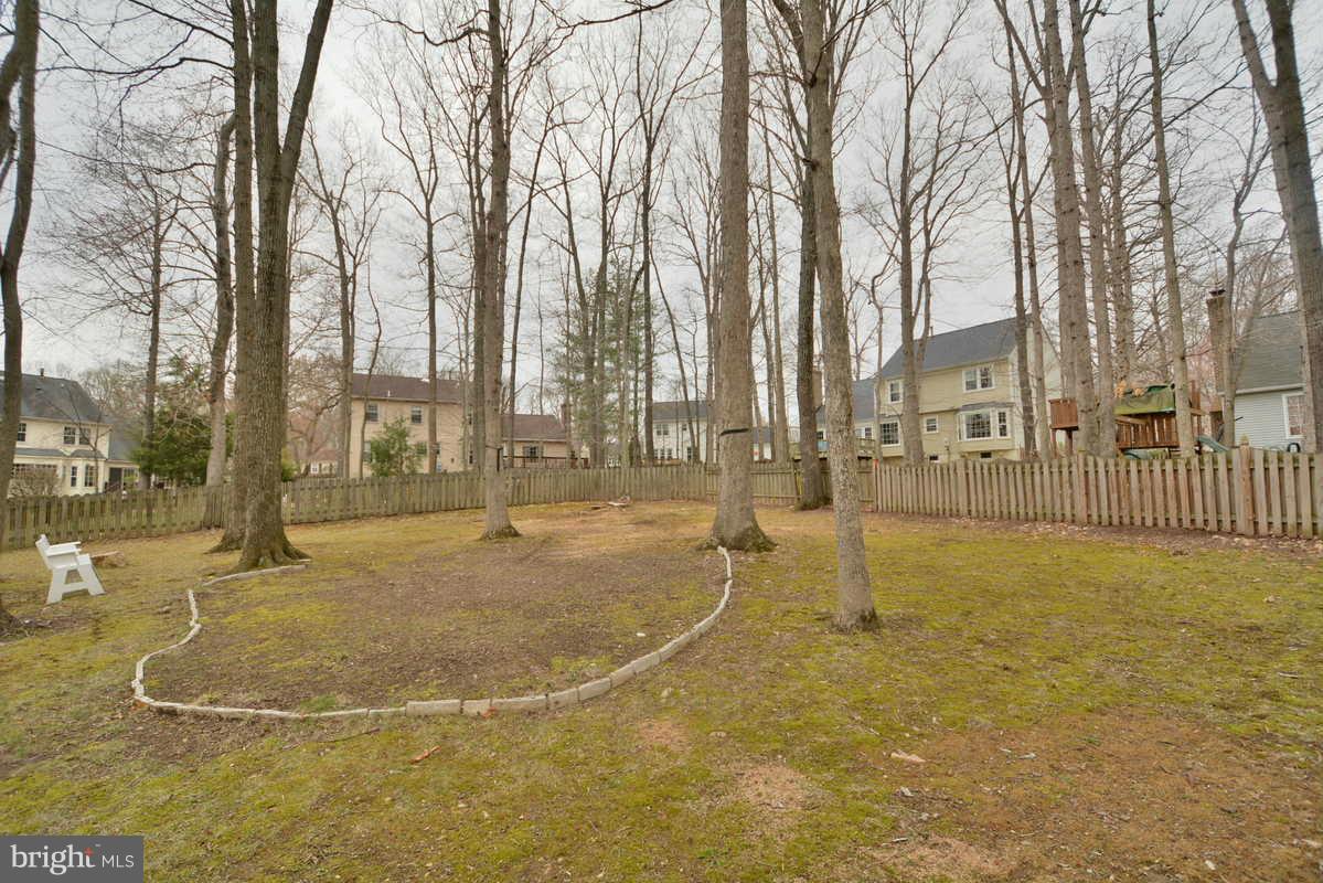 6828 Bluecurl Circle Springfield, VA 22152 - Photo 3 of 21 View