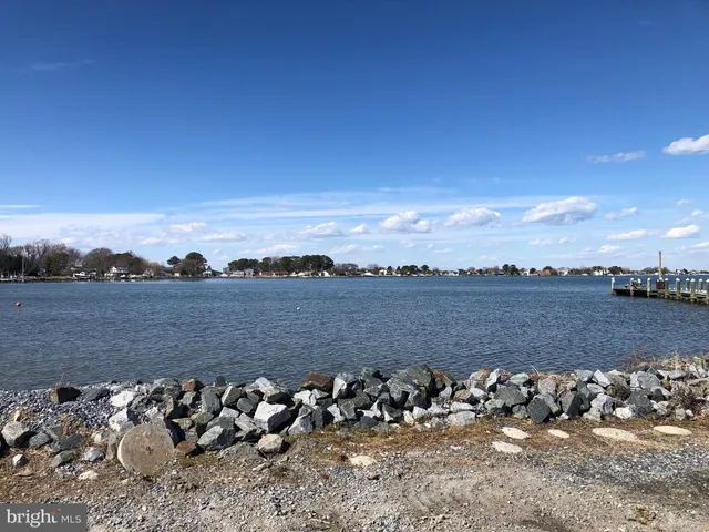 a view of a lake with boats and trees in the background