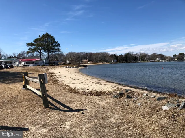 a view of a park with bench and trees