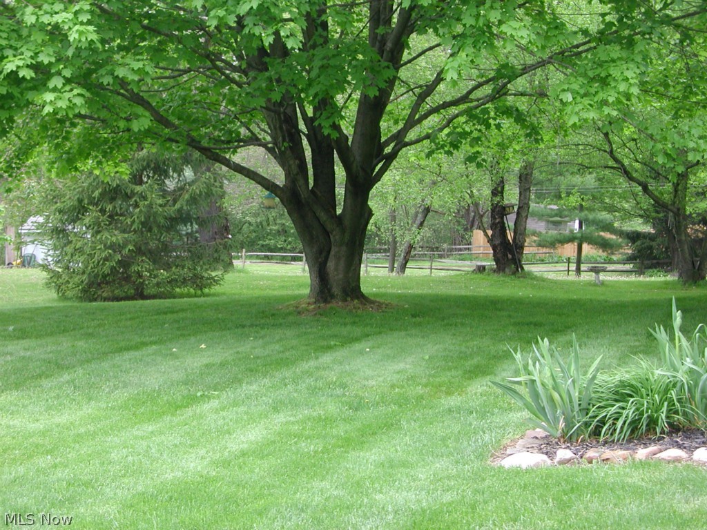 228 Judson Road Kent, OH 44240 - Photo 25 of 25 big yard