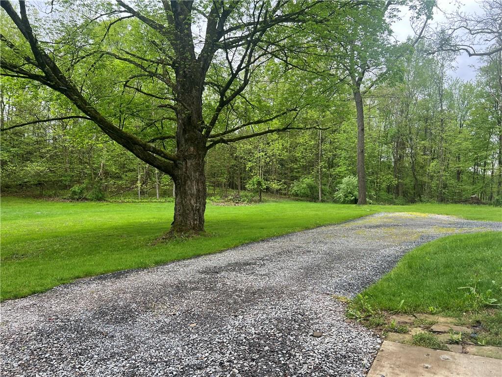 150 Long Hill Road Hadley, PA 16130 - Photo 26 of 28