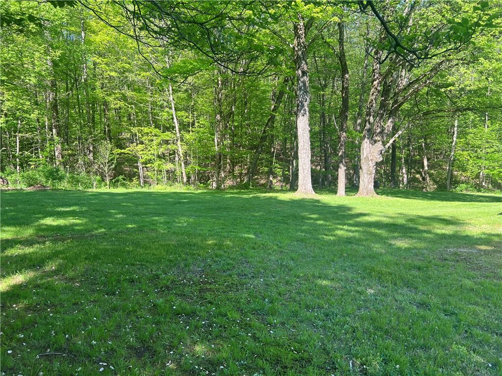 150 Long Hill Road Hadley, PA 16130 - Photo 3 of 28