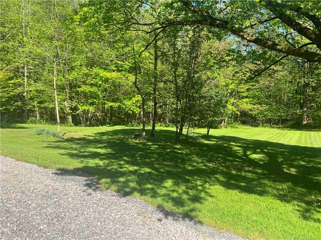 150 Long Hill Road Hadley, PA 16130 - Photo 5 of 28