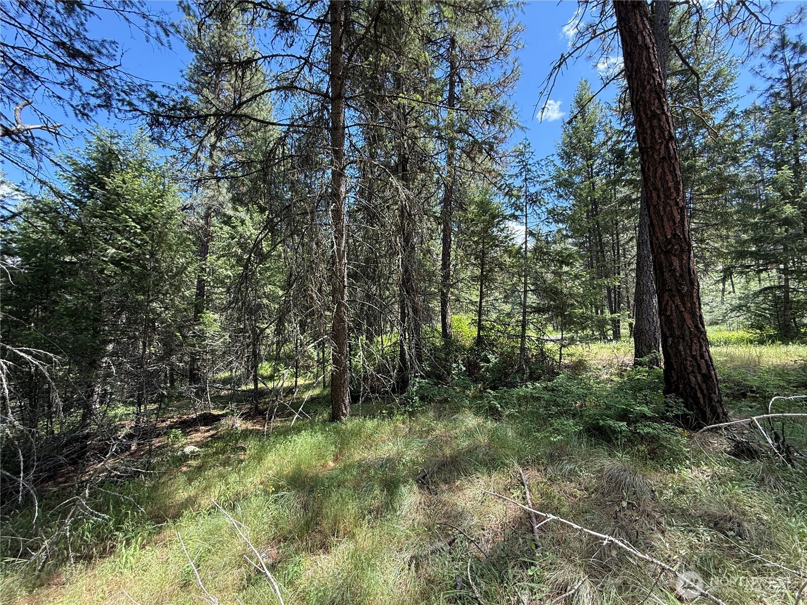 21 Pine Grove Street Republic, WA 99166 - Photo 13 of 21