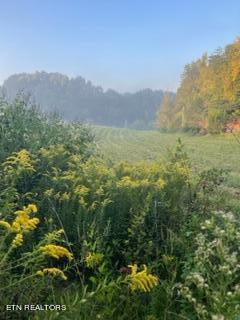 Undisclosed Address Seymour, TN 37865 - Photo 23 of 45 3