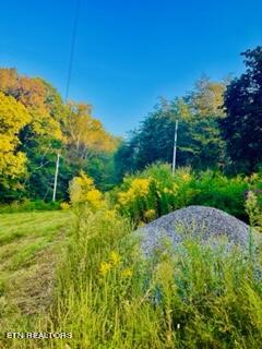 Undisclosed Address Seymour, TN 37865 - Photo 27 of 45 7