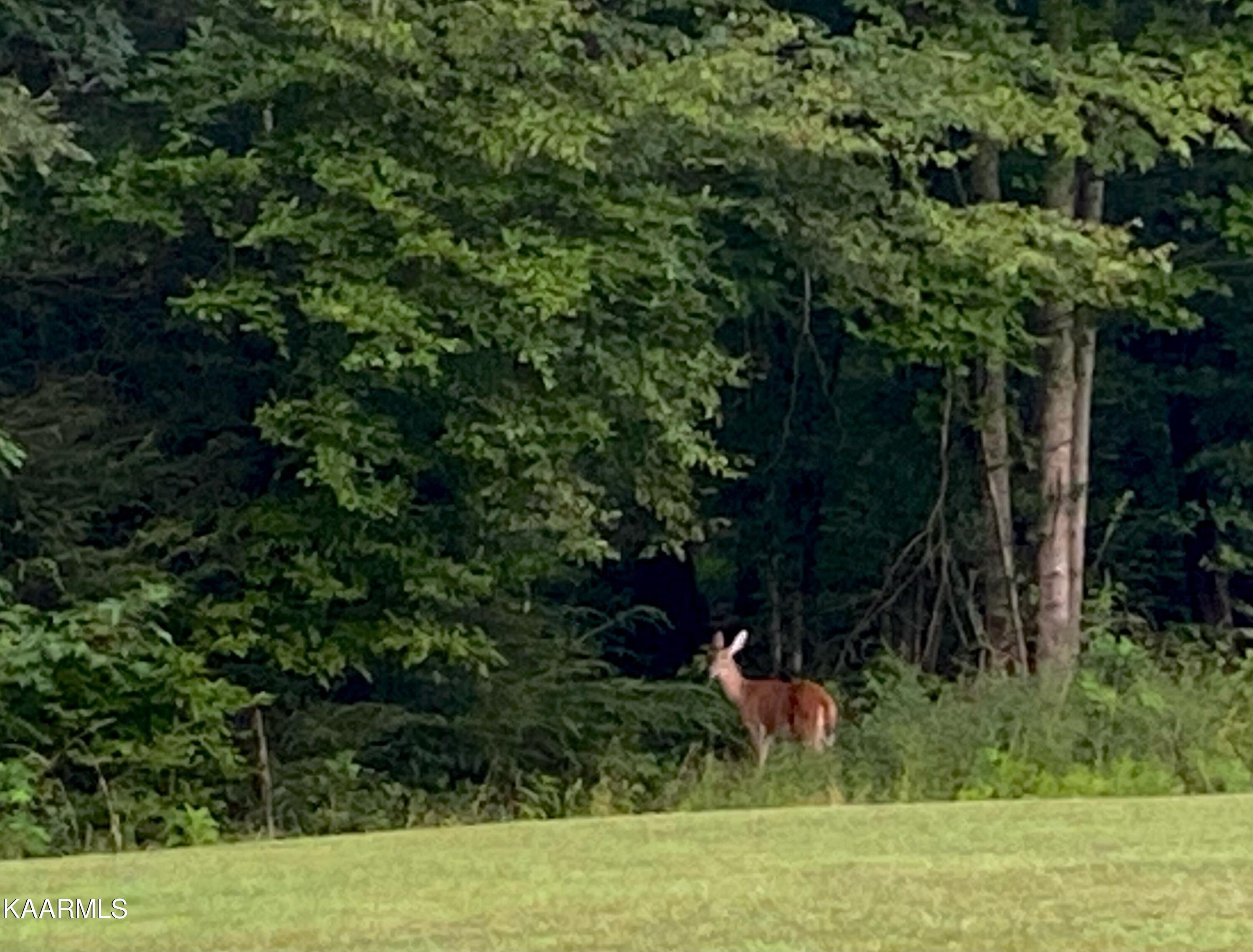 Undisclosed Address Seymour, TN 37865 - Photo 28 of 45 18