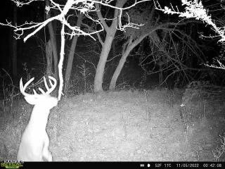 Undisclosed Address Seymour, TN 37865 - Photo 29 of 45 2