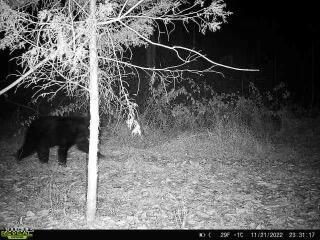 Undisclosed Address Seymour, TN 37865 - Photo 30 of 45 3