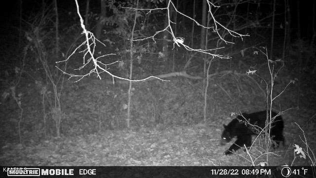 Undisclosed Address Seymour, TN 37865 - Photo 31 of 45 8