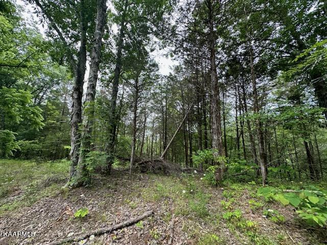 Undisclosed Address Seymour, TN 37865 - Photo 32 of 45 CB22