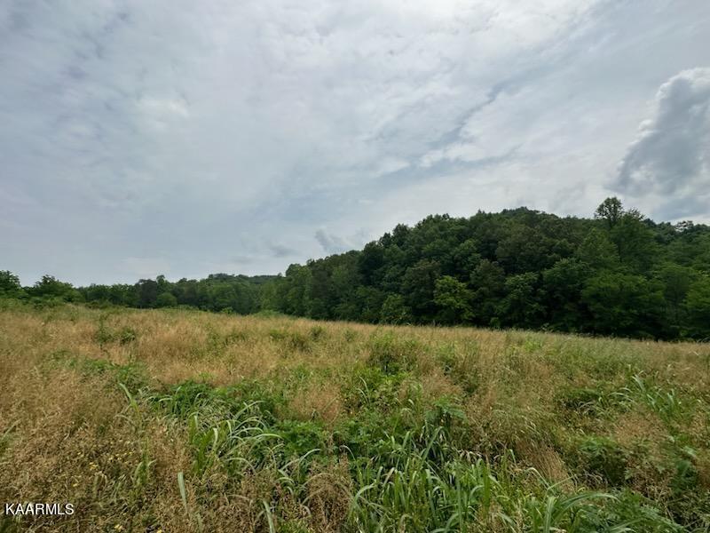 Undisclosed Address Seymour, TN 37865 - Photo 33 of 45 CB20