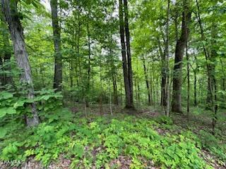 Undisclosed Address Seymour, TN 37865 - Photo 34 of 45 CB24