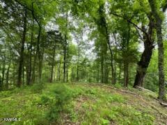 Undisclosed Address Seymour, TN 37865 - Photo 35 of 45 CB25