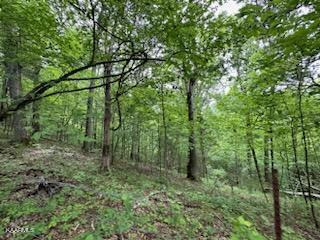 Undisclosed Address Seymour, TN 37865 - Photo 36 of 45 CB26