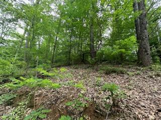 Undisclosed Address Seymour, TN 37865 - Photo 37 of 45 CB28