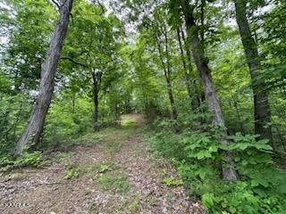 Undisclosed Address Seymour, TN 37865 - Photo 38 of 45 CB32