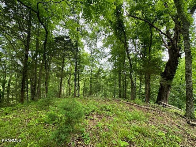 Undisclosed Address Seymour, TN 37865 - Photo 39 of 45 CB33