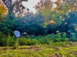 Undisclosed Address Seymour, TN 37865 - Photo 41 of 45 12