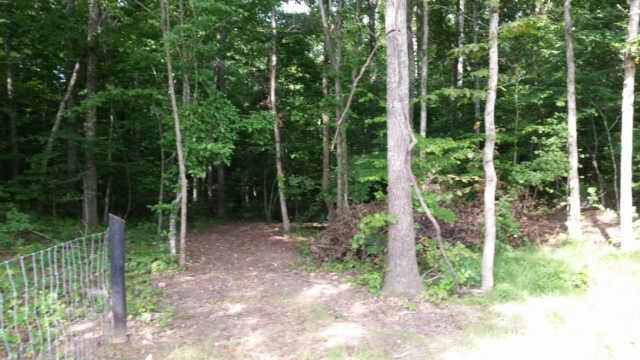 7911 Daugherty-Capley Road Primm Springs, TN 38476 - Photo 7 of 10