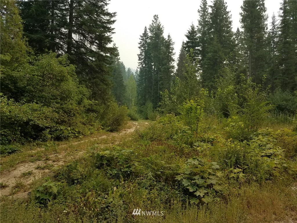 18554 Karl Road Leavenworth, WA 98826 - Photo 3 of 4 Gallery Image 3