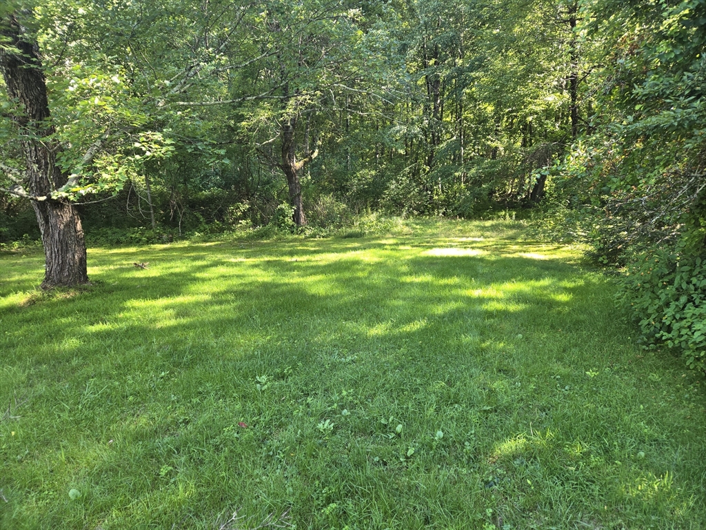 133 Amherst Road Pelham, MA 01002 - Photo 9 of 10 Gallery Image 9