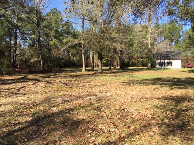9802 State Rd S-10-1336 McClellanville, SC 29458 - Photo 8 of 18 North Side of Property