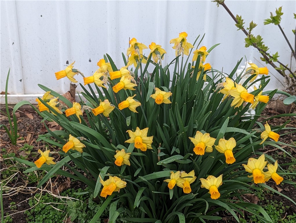 101 MacIntosh Road Ontario, NY 14519 - Photo 34 of 40