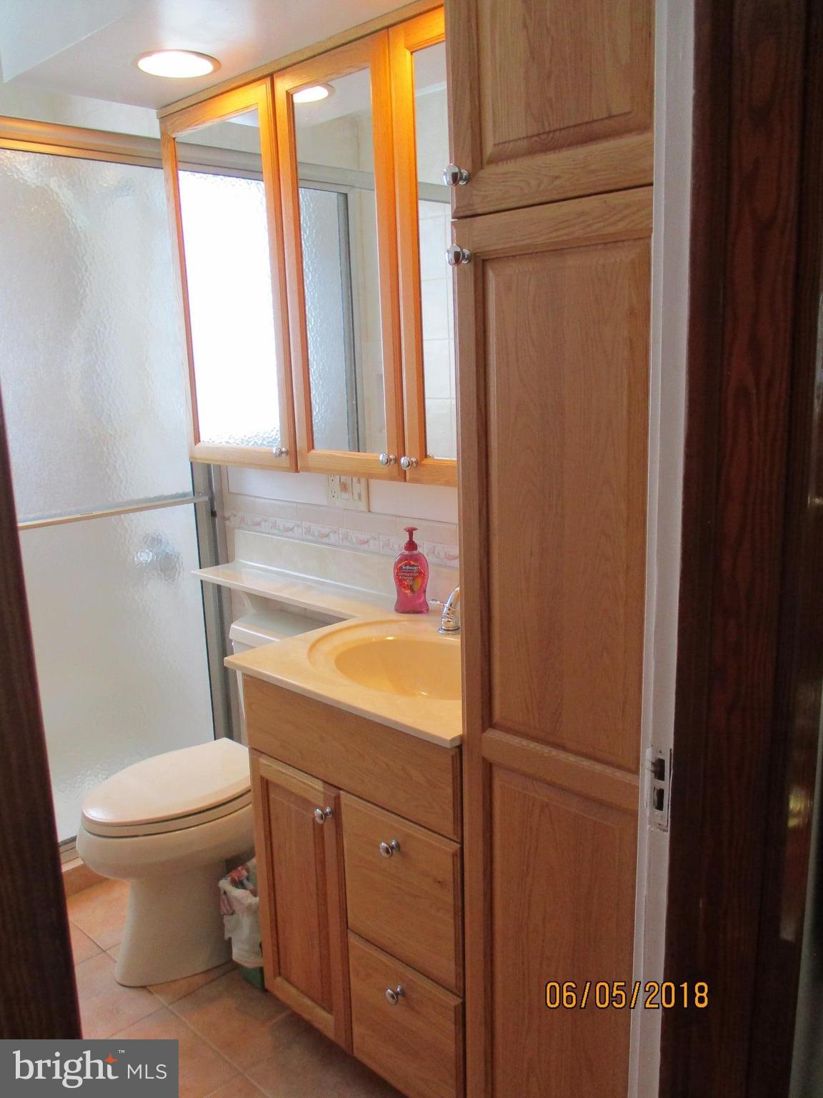 7403 Greenbank Road Baltimore, MD 21220 - Photo 15 of 22 Bath