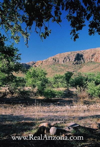 17 Poorwill Canyon Road Rio Rico, AZ 85648 - Photo 1 of 9