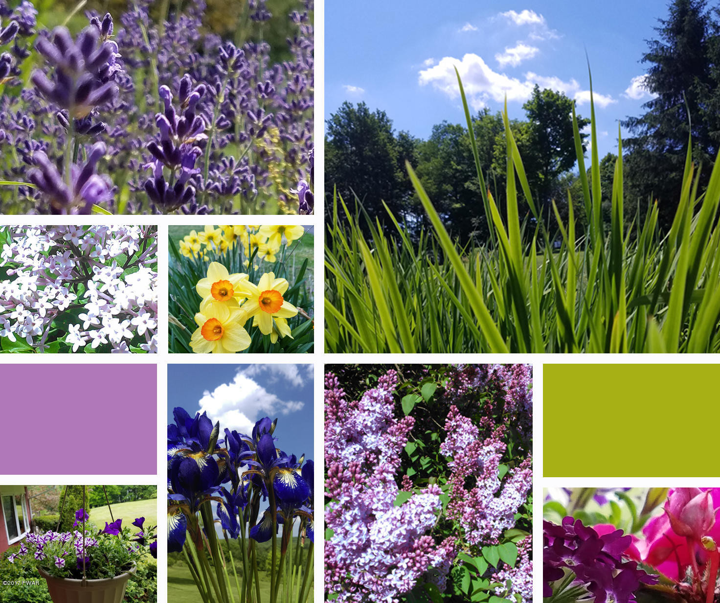 109 Roemerville Road Greentown, PA 18426 - Photo 22 of 29 Spring and Summer Flowers