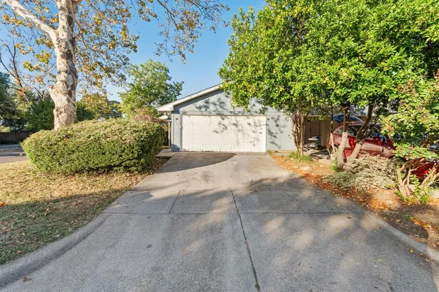 a view of a yard with plants and trees