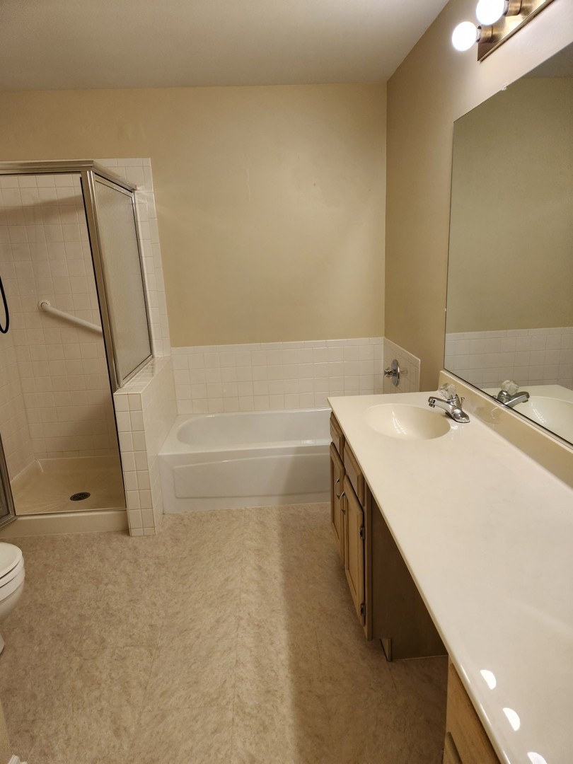 1403 Plum Court, Unit B Mount Prospect, IL 60056 - Photo 11 of 12 a bathroom with a sink a mirror and a bathtub