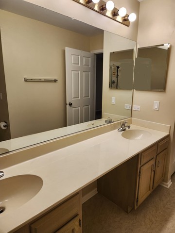 1403 Plum Court, Unit B Mount Prospect, IL 60056 - Photo 10 of 12 a bathroom with a sink and a mirror