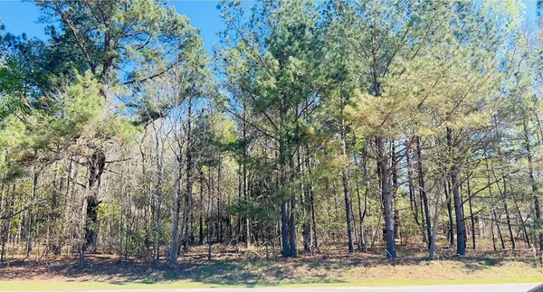 $30,000 | 142 Brown Meadows Court, Orangeburg, SC 29115