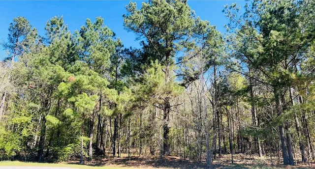 $30,000 | 142 Brown Meadows Court, Orangeburg, SC 29115