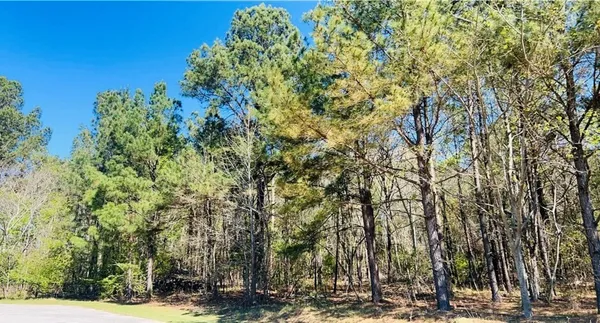 $30,000 | 142 Brown Meadows Court, Orangeburg, SC 29115