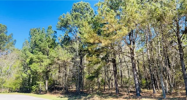 $30,000 | 142 Brown Meadows Court, Orangeburg, SC 29115