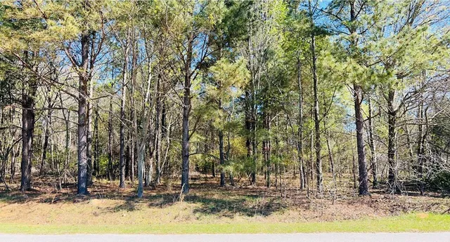 $30,000 | 142 Brown Meadows Court, Orangeburg, SC 29115