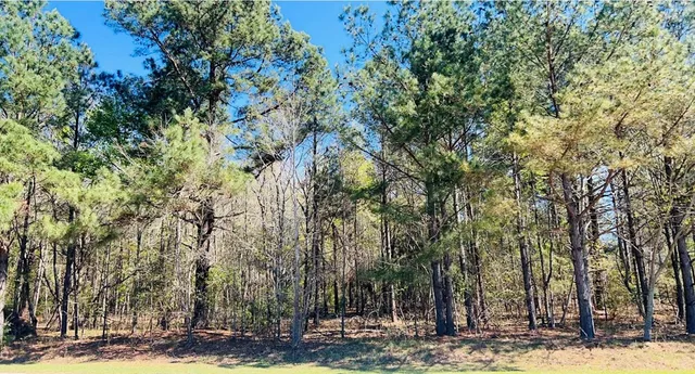 $30,000 | 142 Brown Meadows Court, Orangeburg, SC 29115