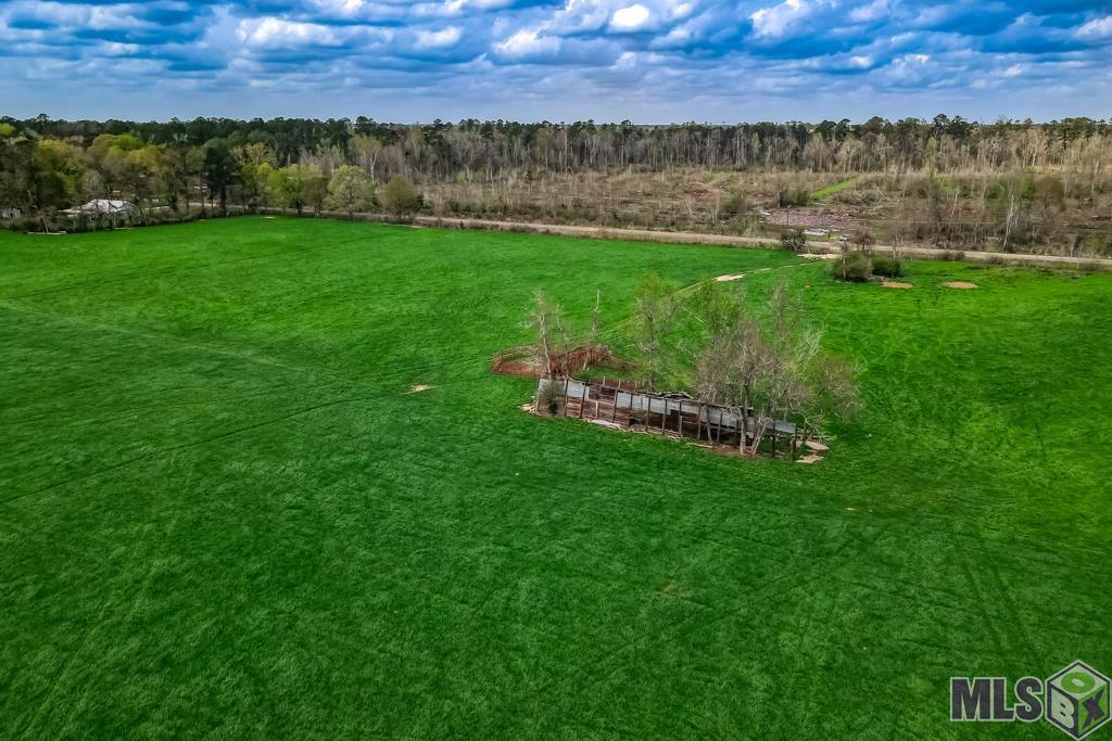 0 Highway 1063 Independence, LA 70443 - Photo 2 of 13