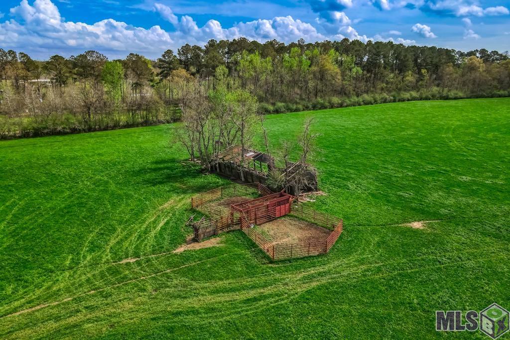 0 Highway 1063 Independence, LA 70443 - Photo 3 of 13