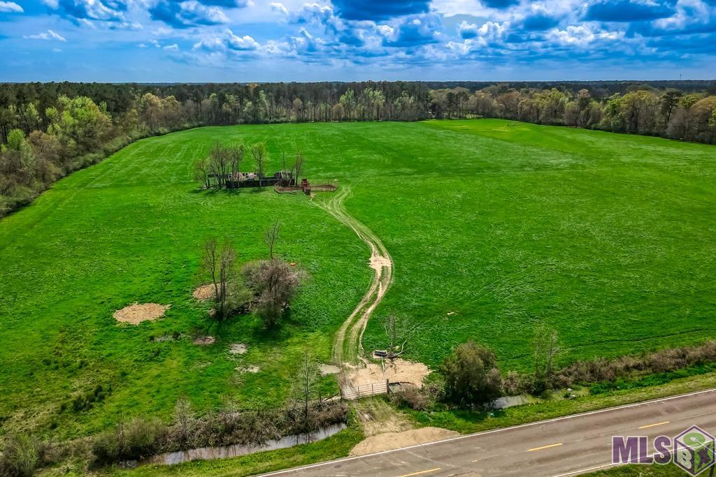 0 Highway 1063 Independence, LA 70443 - Photo 4 of 13