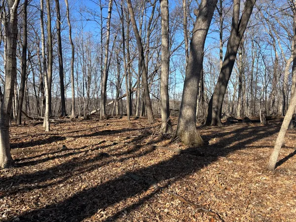$3,500 | 1783 Blueberry Drive, Varna, IL 61375