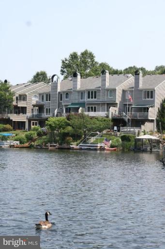1999 Lakeport Way Reston, VA 20191 - Photo 8 of 21 Enjoy the Lakefront Lifestyle