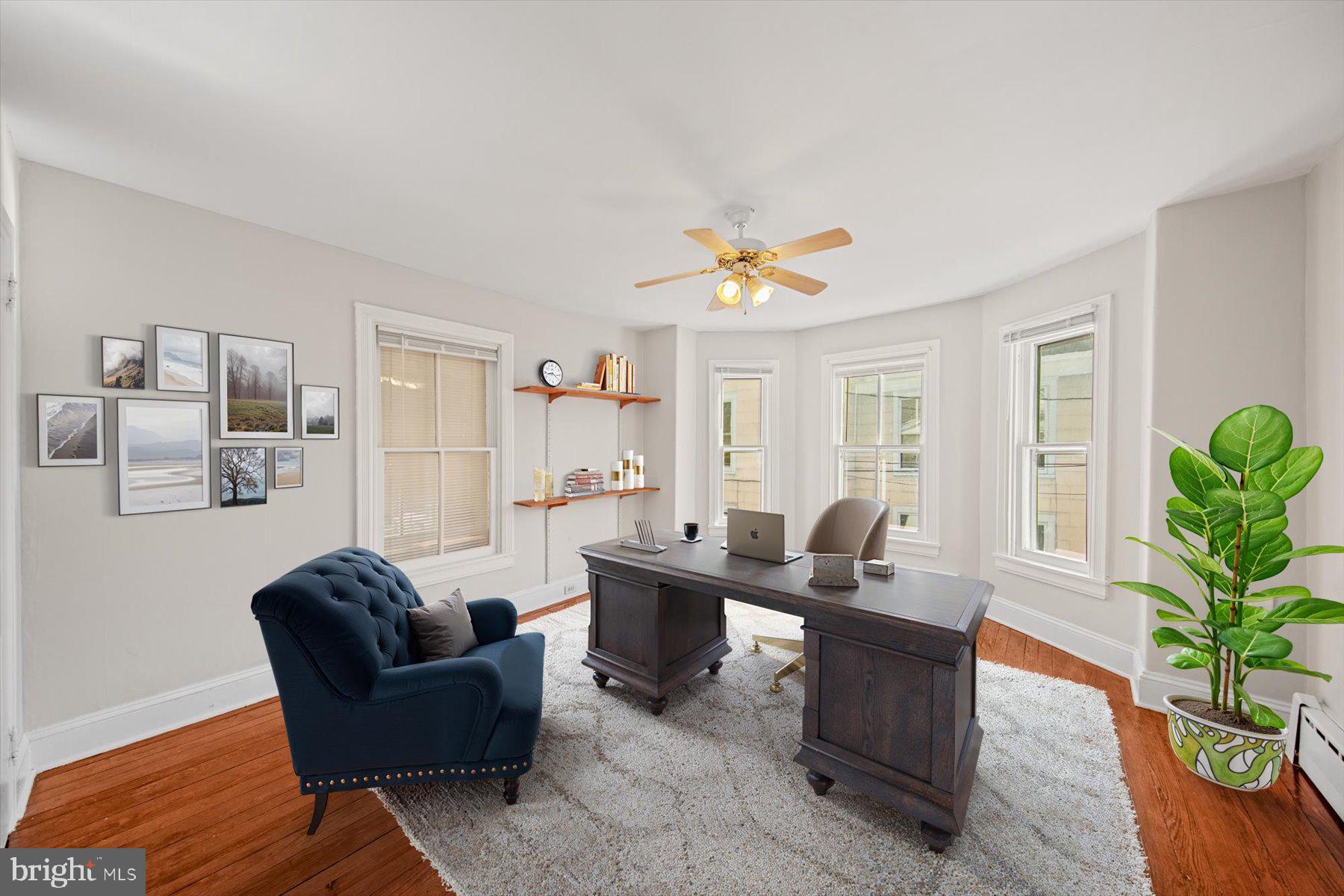 817 Locust Street Cambridge, MD 21613 - Photo 20 of 44 a living room with furniture and a potted plant