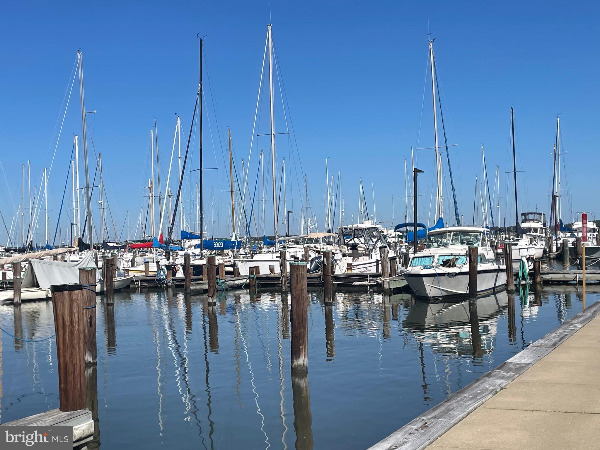 817 Locust Street Cambridge, MD 21613 - Photo 34 of 44 a view of a dinning table and chairs in the patio