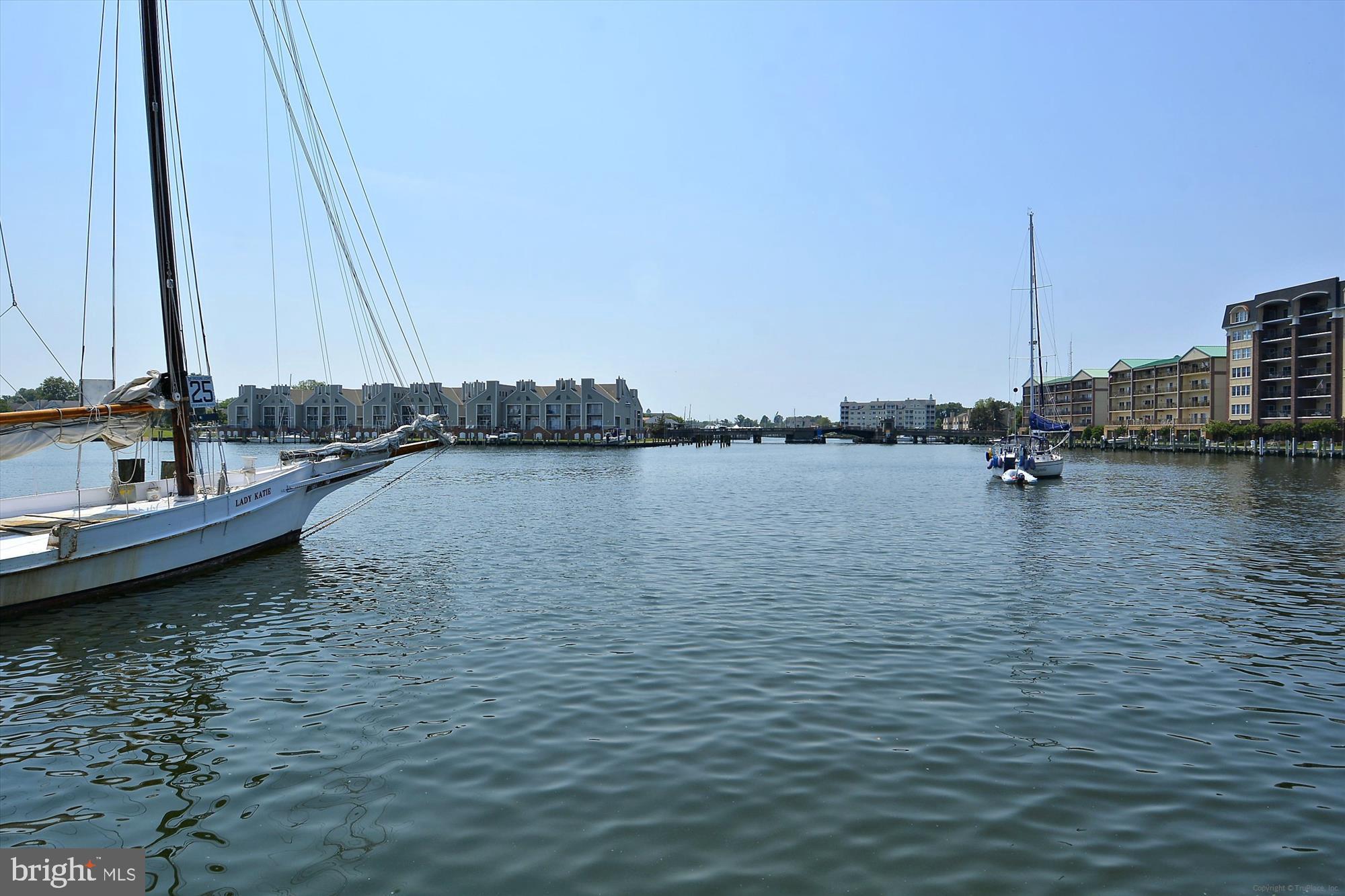 817 Locust Street Cambridge, MD 21613 - Photo 36 of 44 a view of a lake with a large bridge